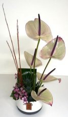COF0053 Composition florale