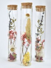 FSE0009 Tubes de fleurs séchées - 15 cm