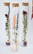 FSE0010 Tubes de fleurs séchées - 20 cm